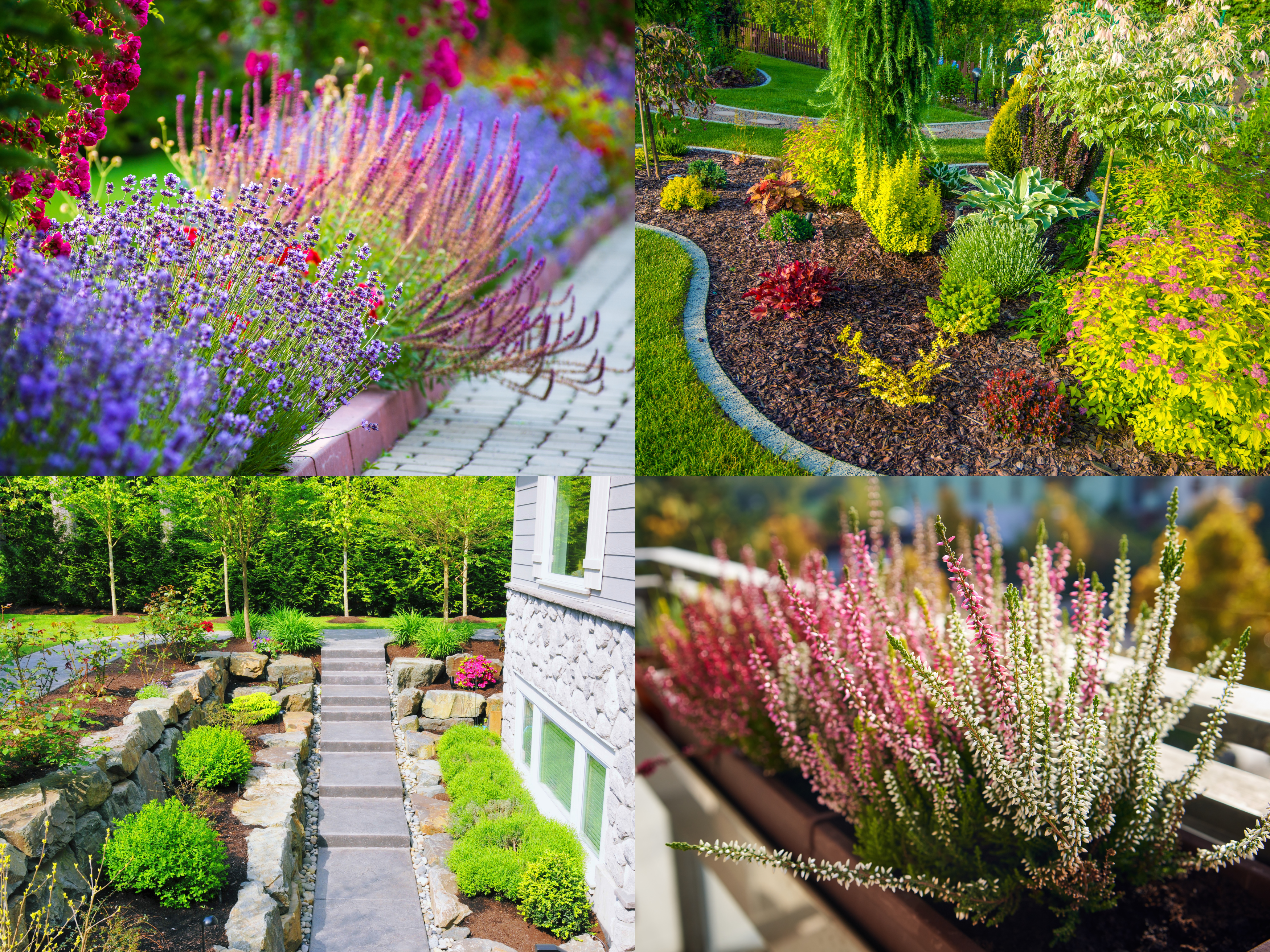 Landscaping 1