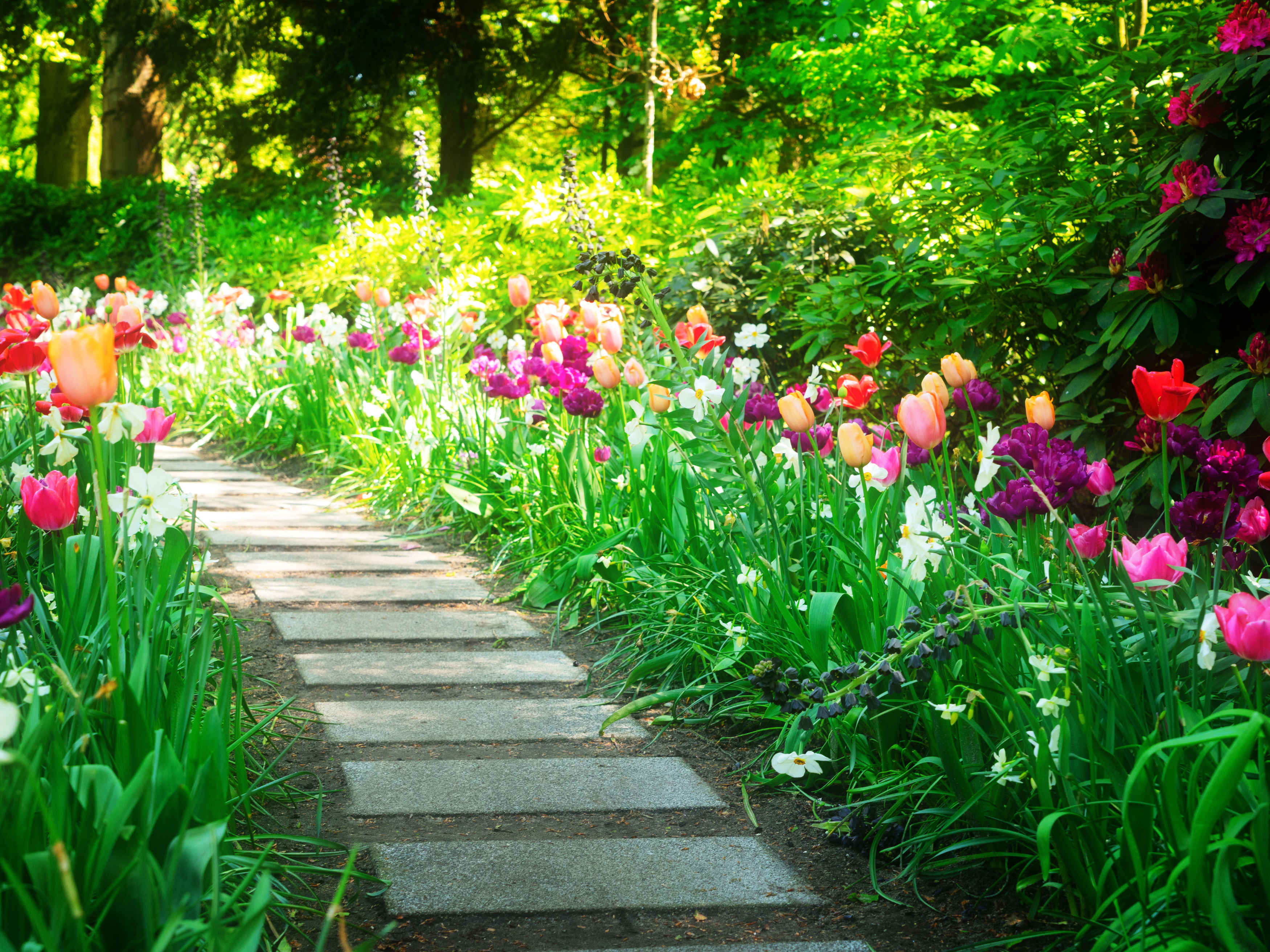 Landscaping