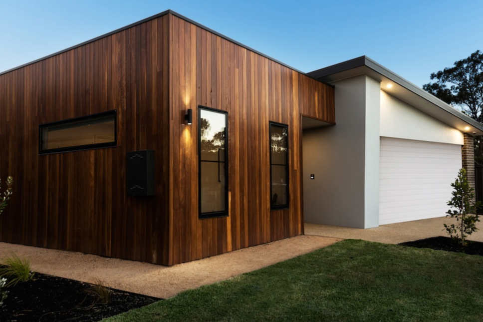 Spotted Gum
